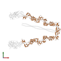 Calmodulin-1 in PDB entry 2dfs, assembly 1, front view.