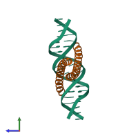 Hetero tetrameric assembly 1 of PDB entry 2dgc coloured by chemically distinct molecules, side view.