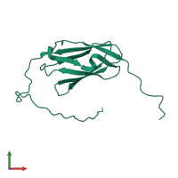 Filamin-B in PDB entry 2di9, assembly 1, front view.