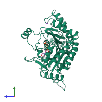 PDB entry 2dkb coloured by chain, side view.