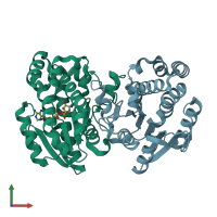 PDB entry 2dkn coloured by chain, front view.