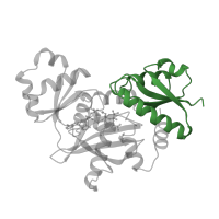 The deposited structure of PDB entry 2dln contains 1 copy of CATH domain 3.40.50.20 (Rossmann fold) in D-alanine--D-alanine ligase B. Showing 1 copy in chain A.