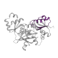 The deposited structure of PDB entry 2dln contains 1 copy of Pfam domain PF01820 (D-ala D-ala ligase N-terminus) in D-alanine--D-alanine ligase B. Showing 1 copy in chain A.