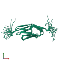 PDB entry 2dm3 coloured by chain, ensemble of 20 models, front view.