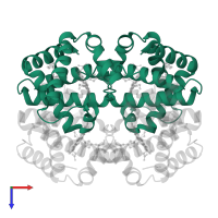 Hemoglobin subunit alpha in PDB entry 2dn1, assembly 1, top view.