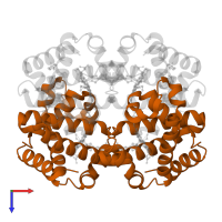 Hemoglobin subunit beta in PDB entry 2dn1, assembly 1, top view.