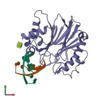 PDB entry 2dnj coloured by chain, front view.
