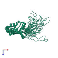 PDB entry 2dnl coloured by chain, ensemble of 20 models, top view.