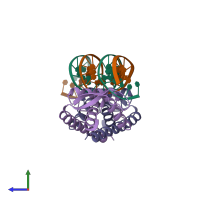 PDB entry 2dpd coloured by chain, side view.