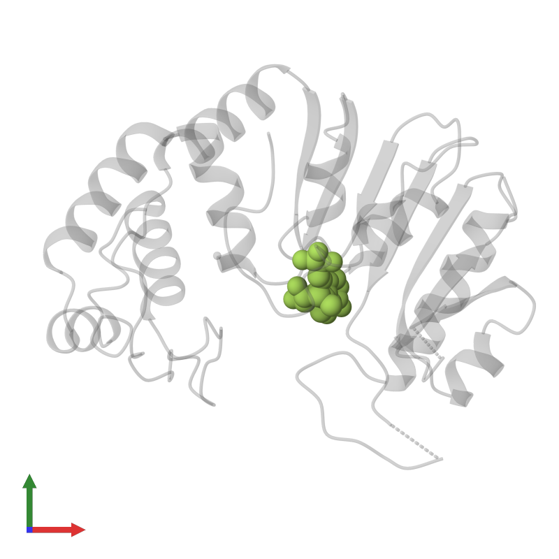 <div class='caption-body'>PDB entry 2dpm contains 1 copy of S-ADENOSYLMETHIONINE in assembly 1. This small molecule is highlighted and viewed from the front.</div>
