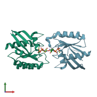 PDB entry 2dpx coloured by chain, front view.