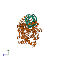 PDB entry 2dr7 coloured by chain, side view.