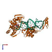 PDB entry 2dra coloured by chain, top view.