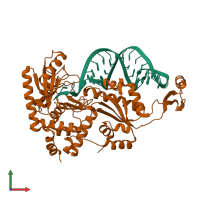 PDB entry 2drb coloured by chain, front view.