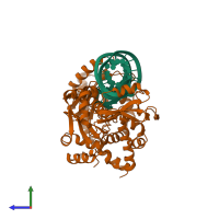 PDB entry 2drb coloured by chain, side view.