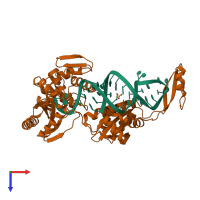 PDB entry 2drb coloured by chain, top view.