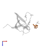 Myosin-I binding protein Acan125 in PDB entry 2drk, assembly 1, top view.