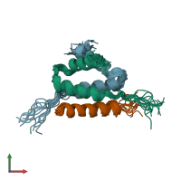 PDB entry 2drn coloured by chain, ensemble of 13 models, front view.