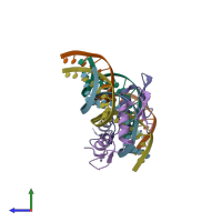 PDB entry 2drp coloured by chain, side view.