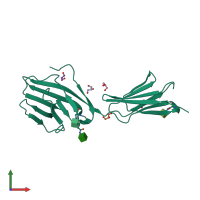 PDB entry 2dru coloured by chain, front view.