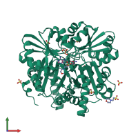 Homo dimeric assembly 1 of PDB entry 2dsg coloured by chemically distinct molecules, front view.