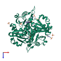 Homo dimeric assembly 1 of PDB entry 2dsg coloured by chemically distinct molecules, top view.