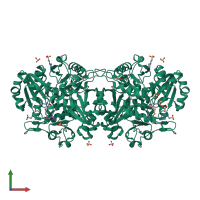 Homo tetrameric assembly 2 of PDB entry 2dsg coloured by chemically distinct molecules, front view.