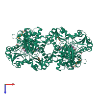 Homo tetrameric assembly 2 of PDB entry 2dsg coloured by chemically distinct molecules, top view.