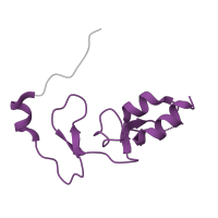 The deposited structure of PDB entry 2dsp contains 1 copy of CATH domain 4.10.40.20 (Omega-AgatoxinV) in Insulin-like growth factor-binding protein 4. Showing 1 copy in chain A [auth B].