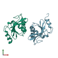 PDB entry 2dst coloured by chain, front view.