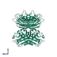 Galactose-binding lectin in PDB entry 2dvd, assembly 1, side view.