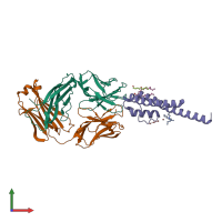 PDB entry 2dwd coloured by chain, front view.