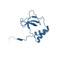 The deposited structure of PDB entry 2dwl contains 4 copies of Pfam domain PF17764 (3'DNA-binding domain (3'BD)) in Primosomal protein N'. Showing 1 copy in chain C [auth A].