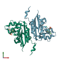 PDB entry 2dxd coloured by chain, front view.