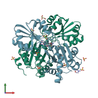 PDB entry 2dxv coloured by chain, front view.