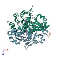 PDB entry 2dxv coloured by chain, top view.