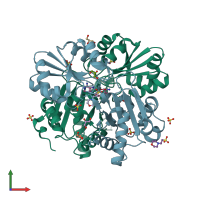 PDB entry 2dxx coloured by chain, front view.