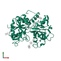 Lactotransferrin in PDB entry 2dxy, assembly 1, front view.