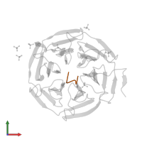Nuclear factor erythroid 2-related factor 2 in PDB entry 2dyh, assembly 1, front view.