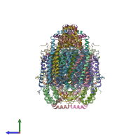 PDB entry 2dyr coloured by chain, side view.