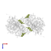 CARDIOLIPIN in PDB entry 2dyr, assembly 1, top view.