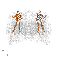 Cytochrome c oxidase subunit 2 in PDB entry 2dys, assembly 1, front view.