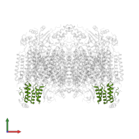 Cytochrome c oxidase subunit 5A, mitochondrial in PDB entry 2dys, assembly 1, front view.