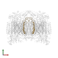 Cytochrome c oxidase subunit 6A2, mitochondrial in PDB entry 2dys, assembly 1, front view.