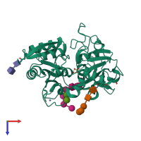 PDB entry 2dyx coloured by chain, top view.