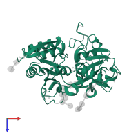Lactotransferrin in PDB entry 2dyx, assembly 1, top view.