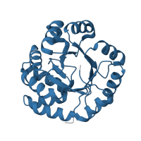 The deposited structure of PDB entry 2dzw contains 2 copies of Pfam domain PF00290 (Tryptophan synthase alpha chain) in Tryptophan synthase alpha chain. Showing 1 copy in chain B.