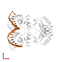DNA (5'-D(*DTP*DGP*DTP*DGP*DAP*DAP*DAP*DAP*DAP*DTP*DTP*DTP*DTP*DCP*DAP*DCP*DT)-3') in PDB entry 2e1c, assembly 1, front view.