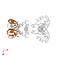 DNA (5'-D(*DTP*DGP*DTP*DGP*DAP*DAP*DAP*DAP*DAP*DTP*DTP*DTP*DTP*DCP*DAP*DCP*DT)-3') in PDB entry 2e1c, assembly 1, top view.