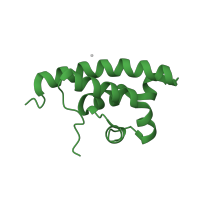 The deposited structure of PDB entry 2e1e contains 1 copy of SCOP domain 47820 (HRDC domain from helicases) in Bifunctional 3'-5' exonuclease/ATP-dependent helicase WRN. Showing 1 copy in chain A.